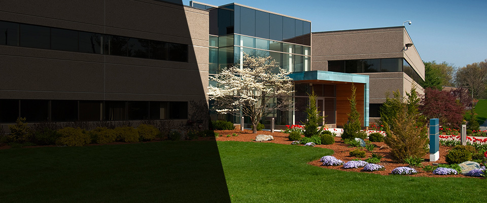 Halethorpe Landscapers