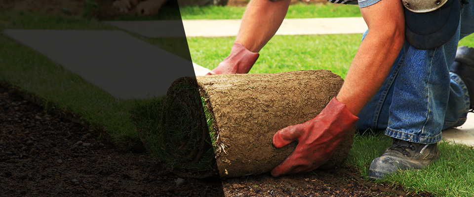 Halethorpe Landscapers